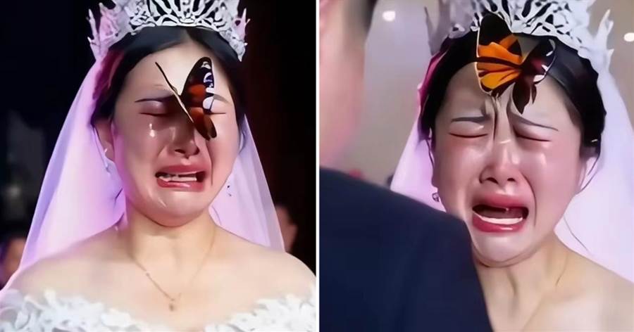 婚禮上，「一只胡蝶死守新娘」遲遲不走「新娘愣3秒」當場淚崩顫喊：今天他的真來了